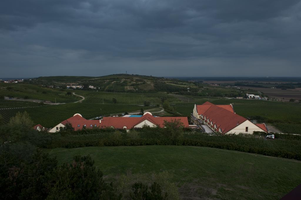 Готель Vinarstvi U Kaplicky Заєчі Номер фото